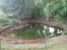 natuurlijke_vijver_mat_azobe.JPG